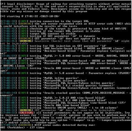 SQLMAP 1.jpg